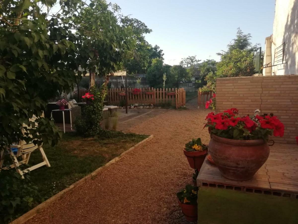 Boleta A 5 Minutos De Leon, Casa Con Jardin *
